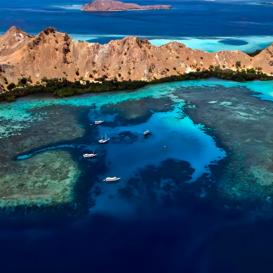 Komodo Highlights Safari Liveaboard