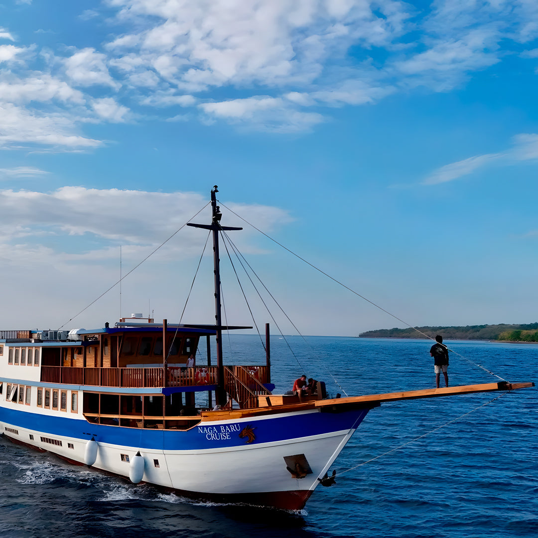 Komodo Highlights Safari Liveaboard