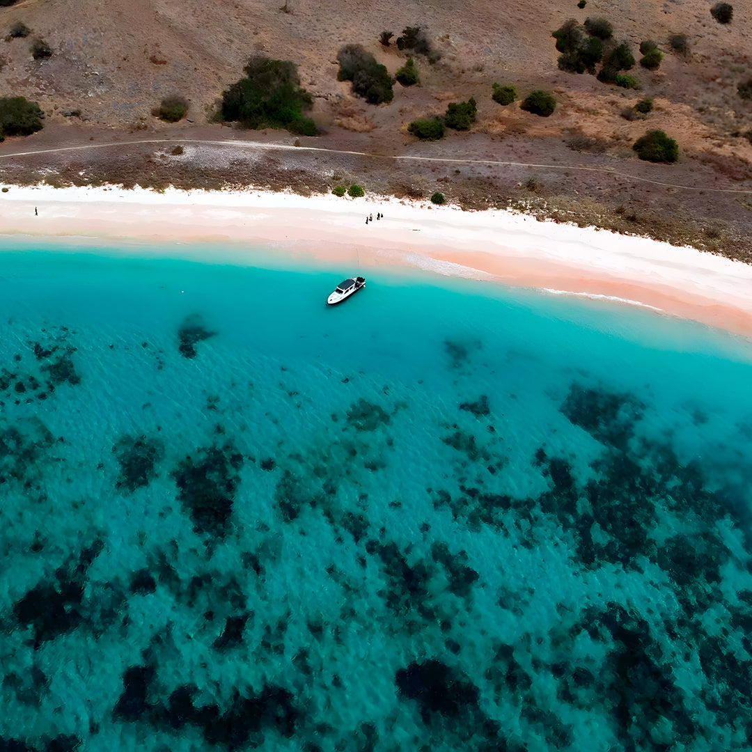 Komodo Highlights Safari Liveaboard