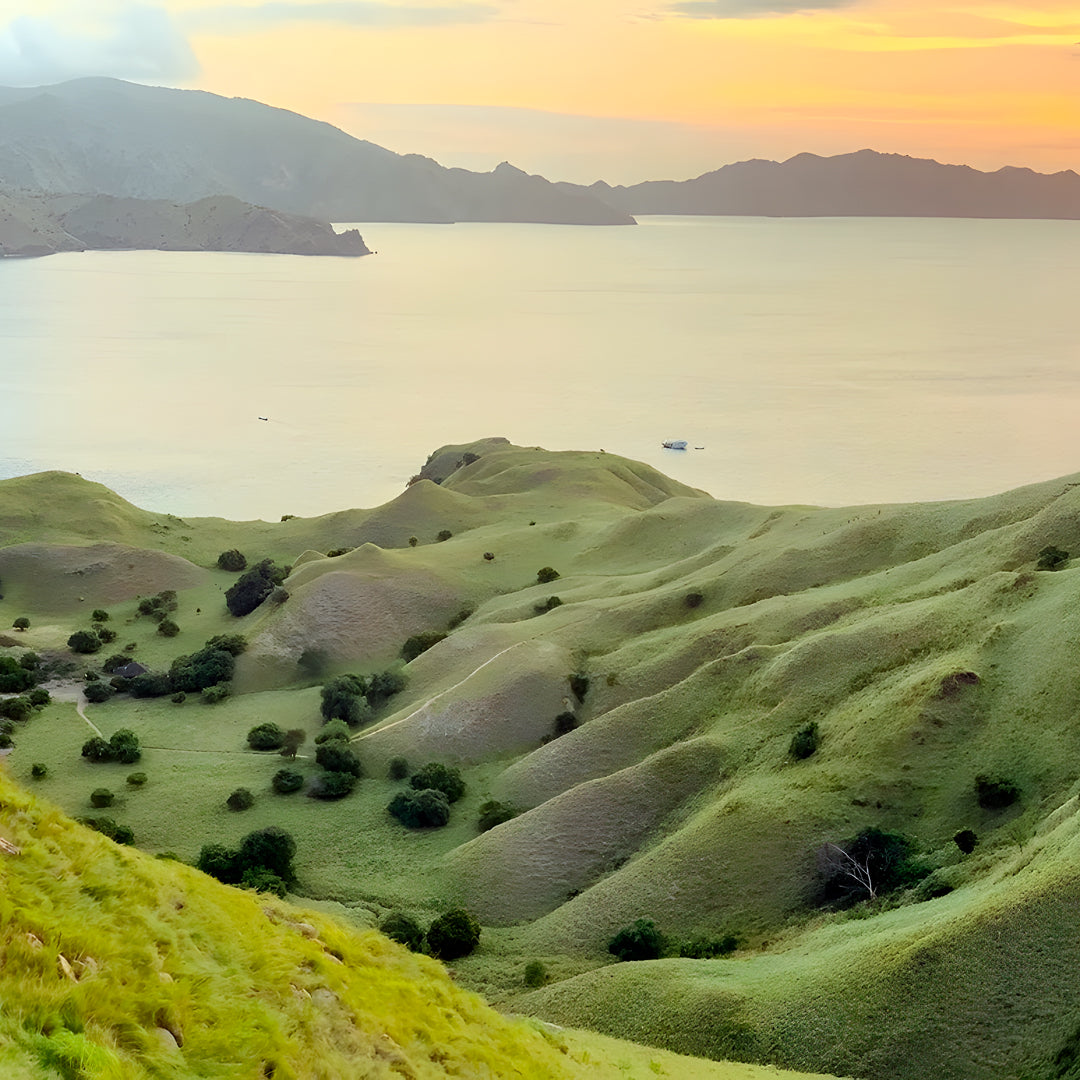 Komodo Highlights Safari Liveaboard