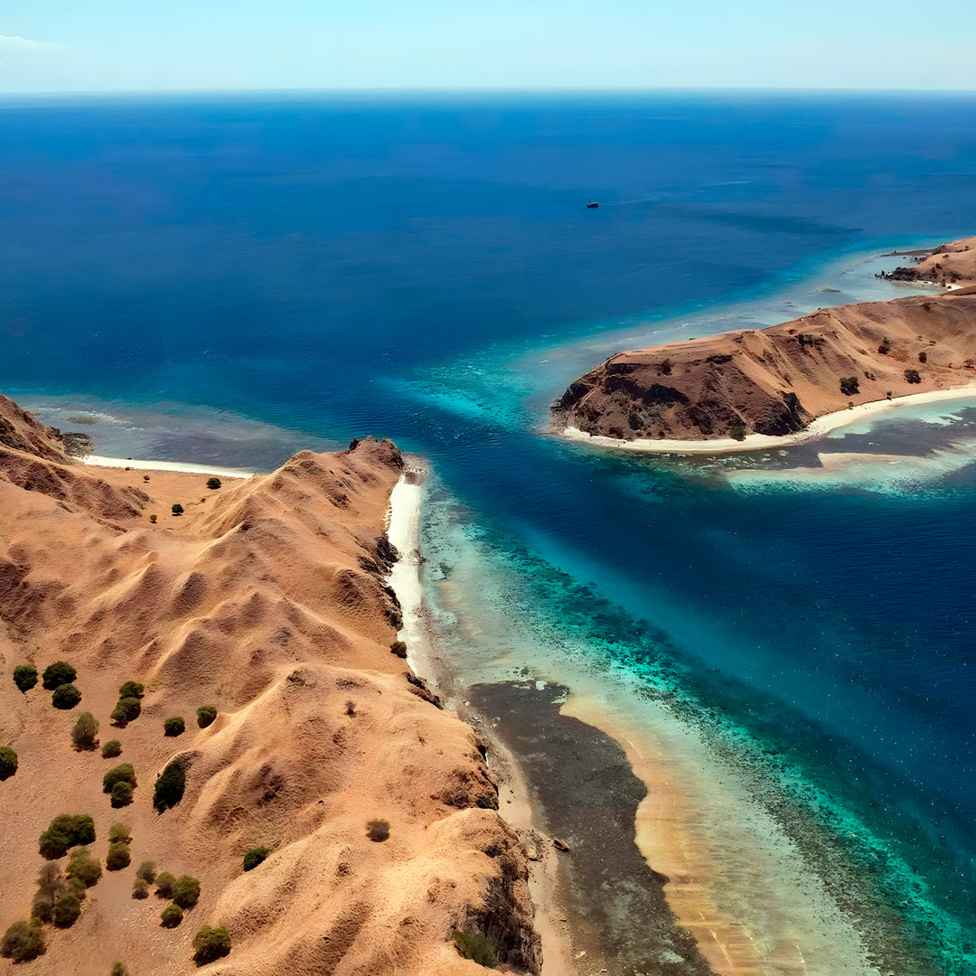 Komodo Highlights Safari Liveaboard