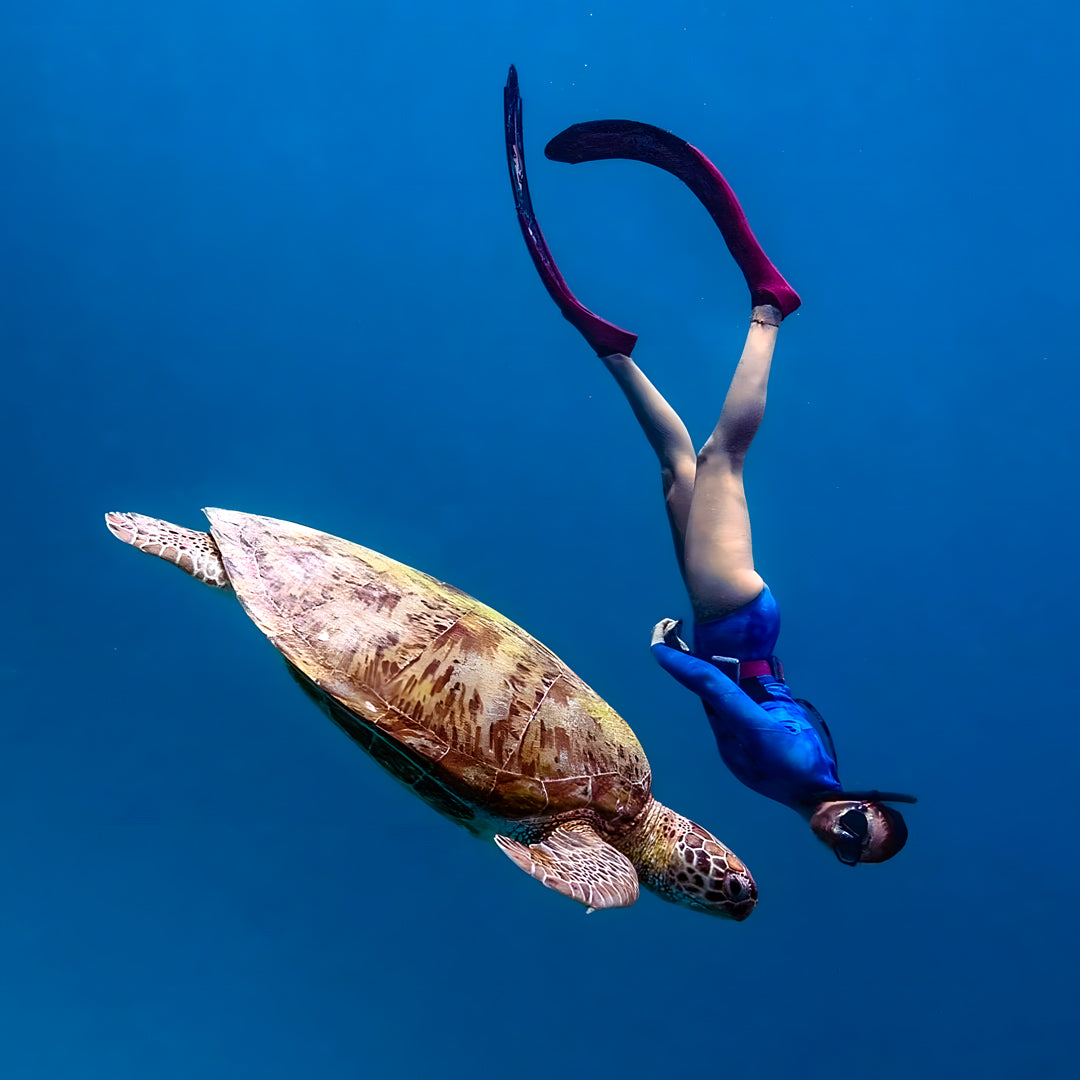 Komodo Island Liveaboard Eunoia Freediving