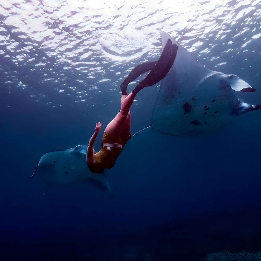 Komodo Island Liveaboard Eunoia Freediving