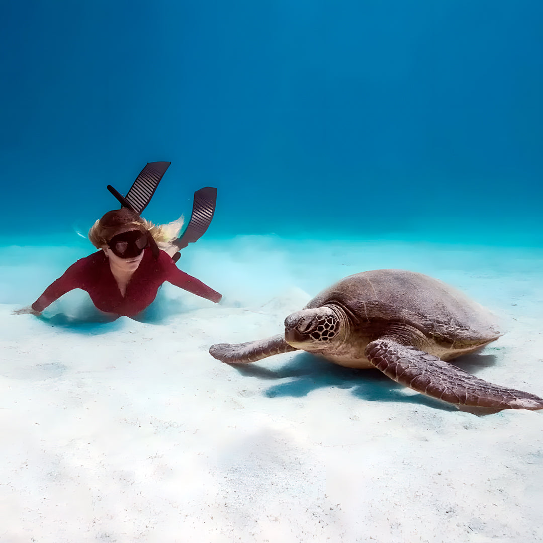 Komodo Island Liveaboard Eunoia Freediving