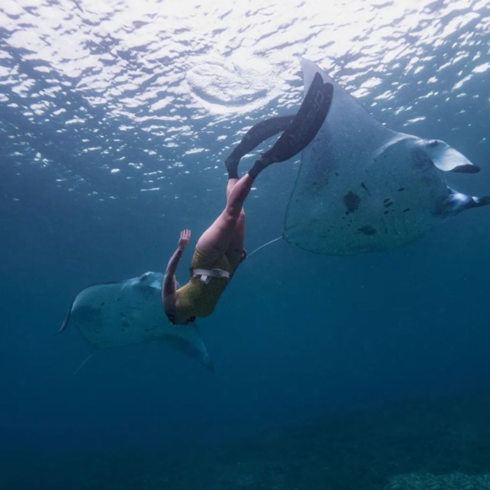 Komodo Island Liveaboard