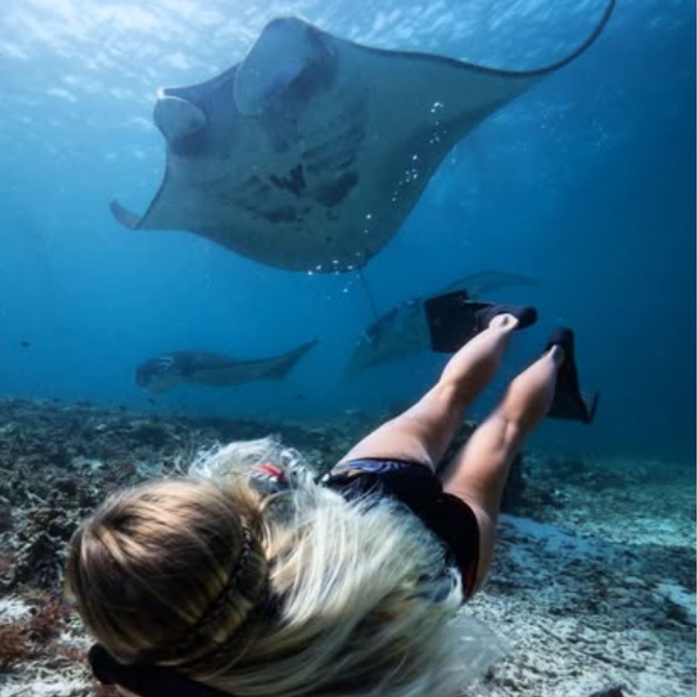 Komodo Island Liveaboard