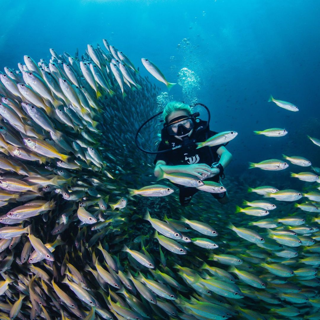 Discover Scuba Diving in Padang Bai