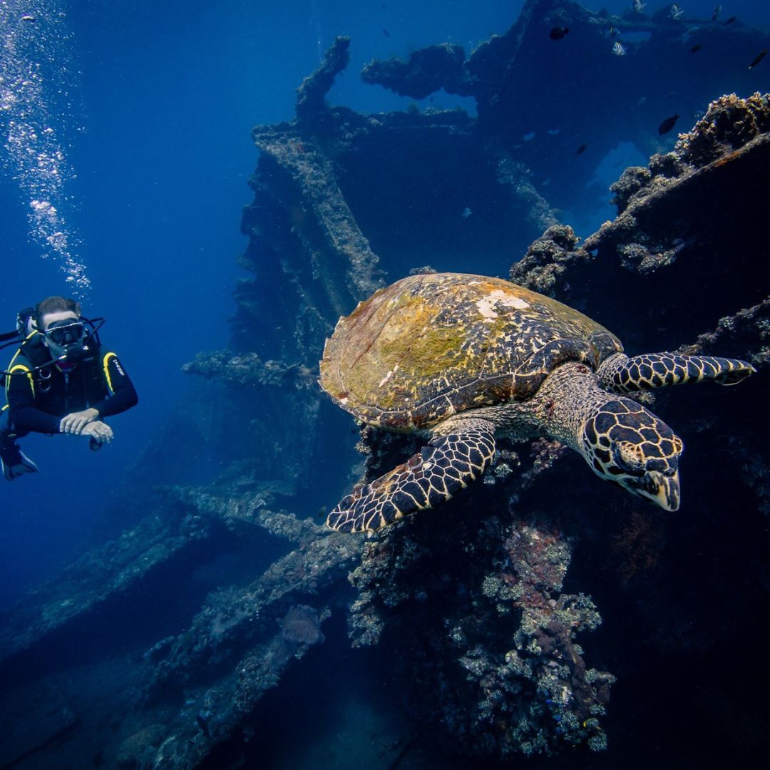 Advanced Open Water Dive Course Kriss Bali Diving