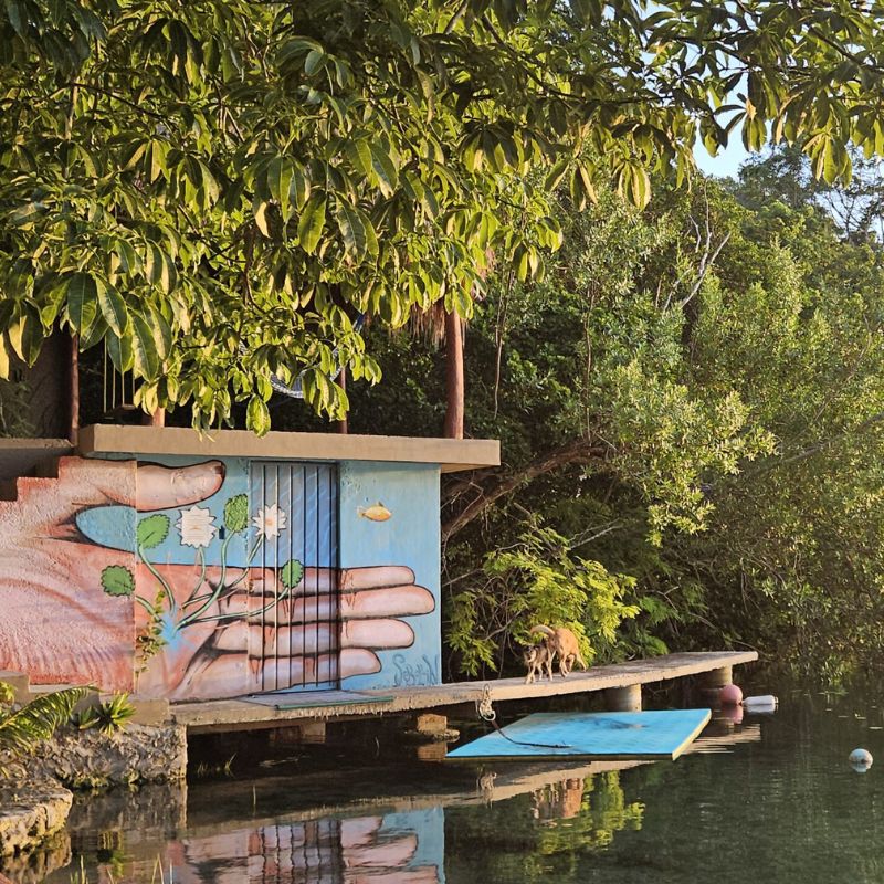 Freediving & Yoga Retreat