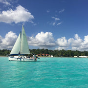 Freediving & Yoga Retreat