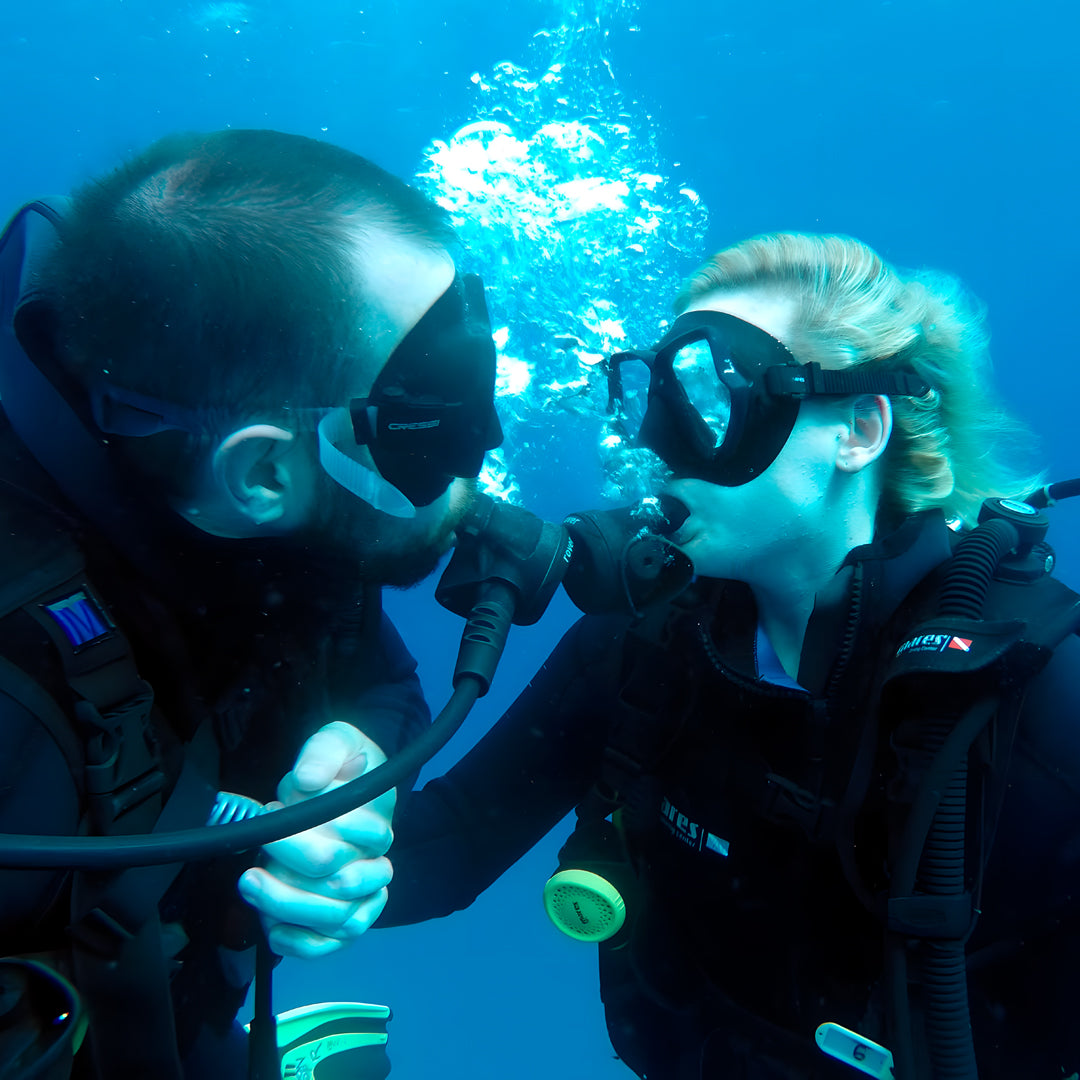 Discovery Dive in Dorada Beach