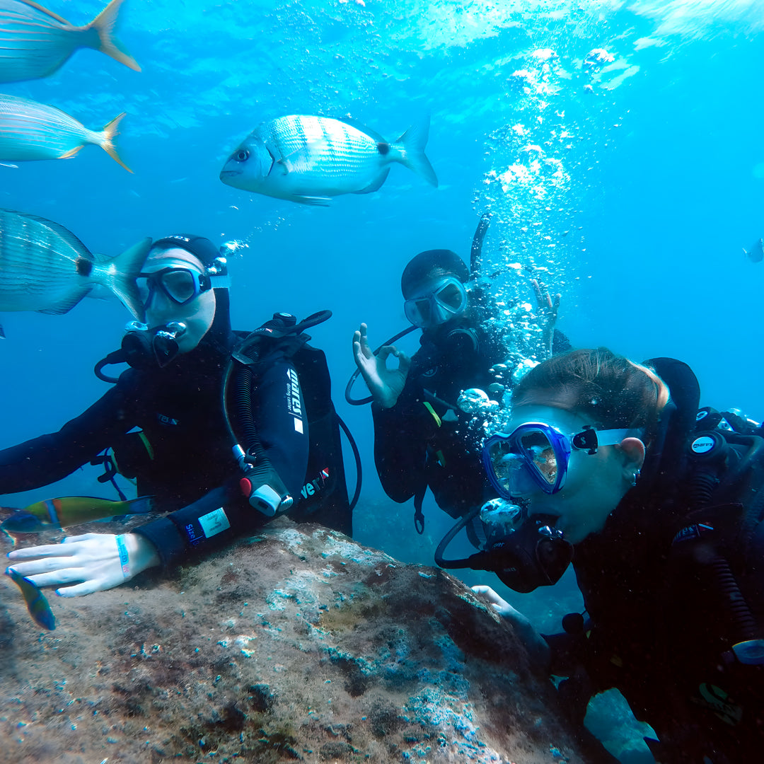 Discovery Dive in Dorada Beach