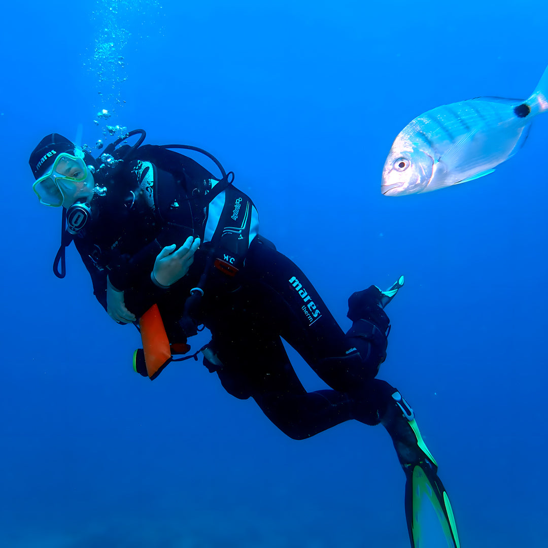 Discovery Dive in Dorada Beach