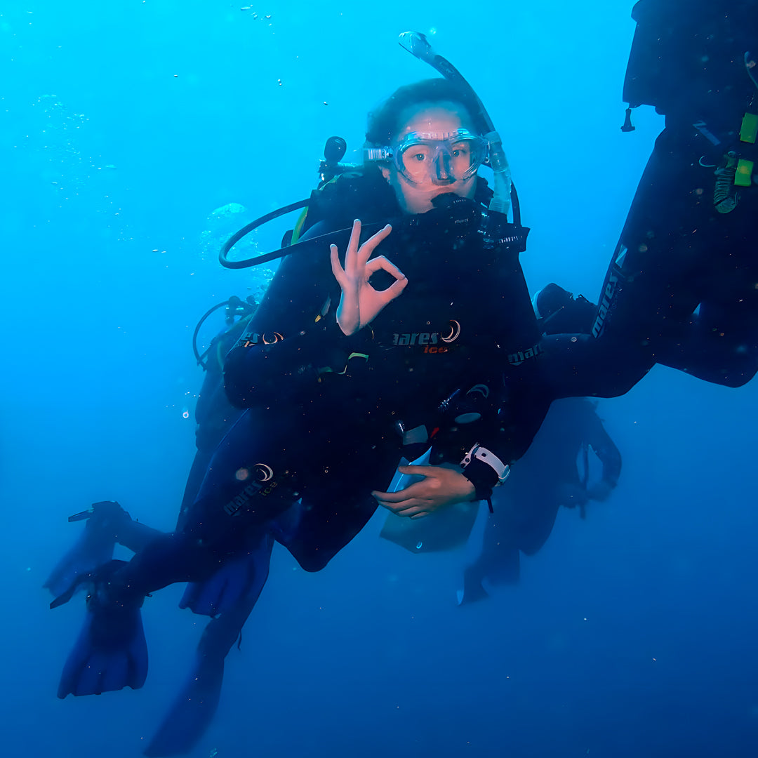 Discovery Dive in Dorada Beach