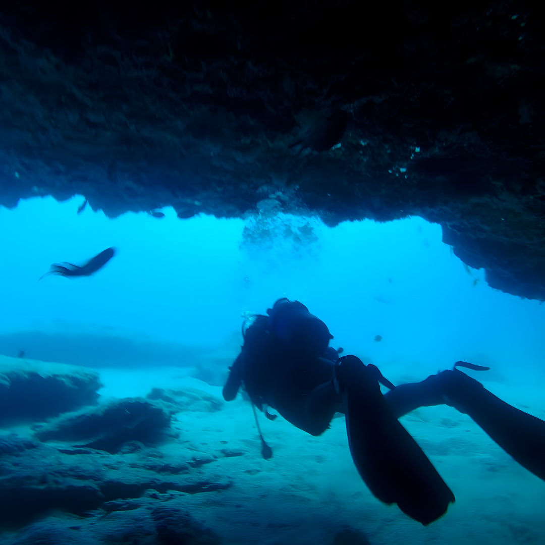 Double Discover Scuba in Flamingo Beach