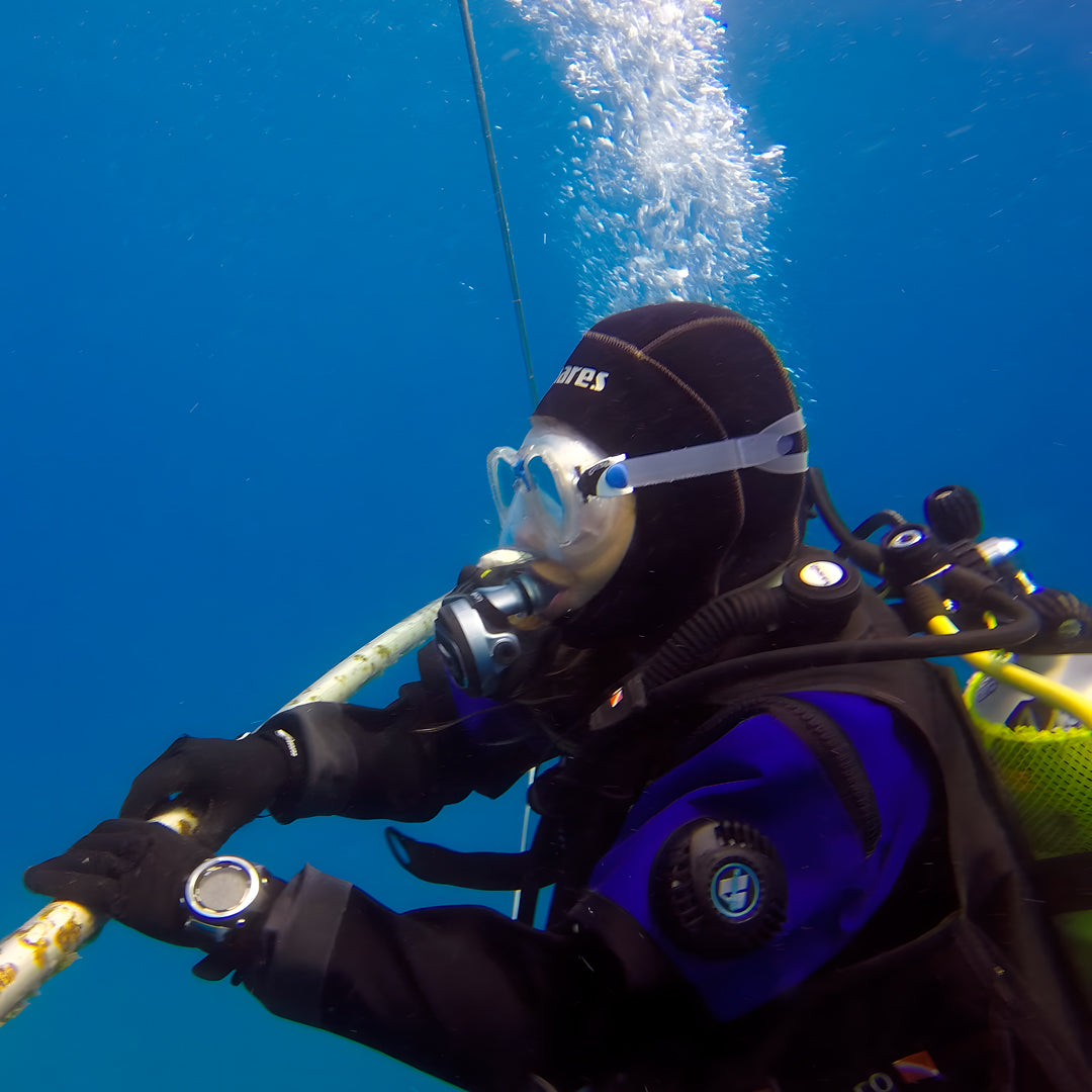 Double Discover Scuba in Flamingo Beach