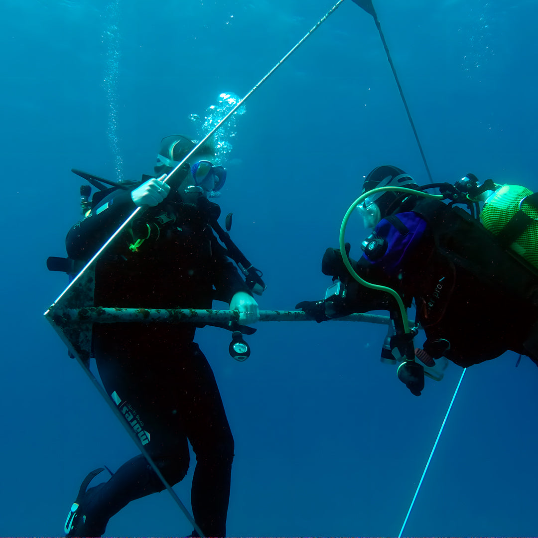Double Discover Scuba in Flamingo Beach