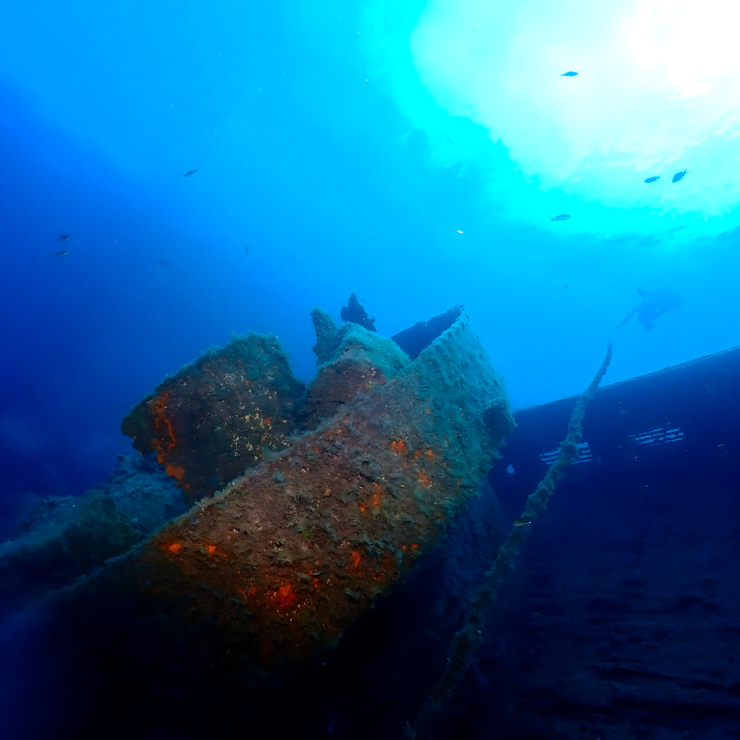 Scuba Diving at Flamingo Beach
