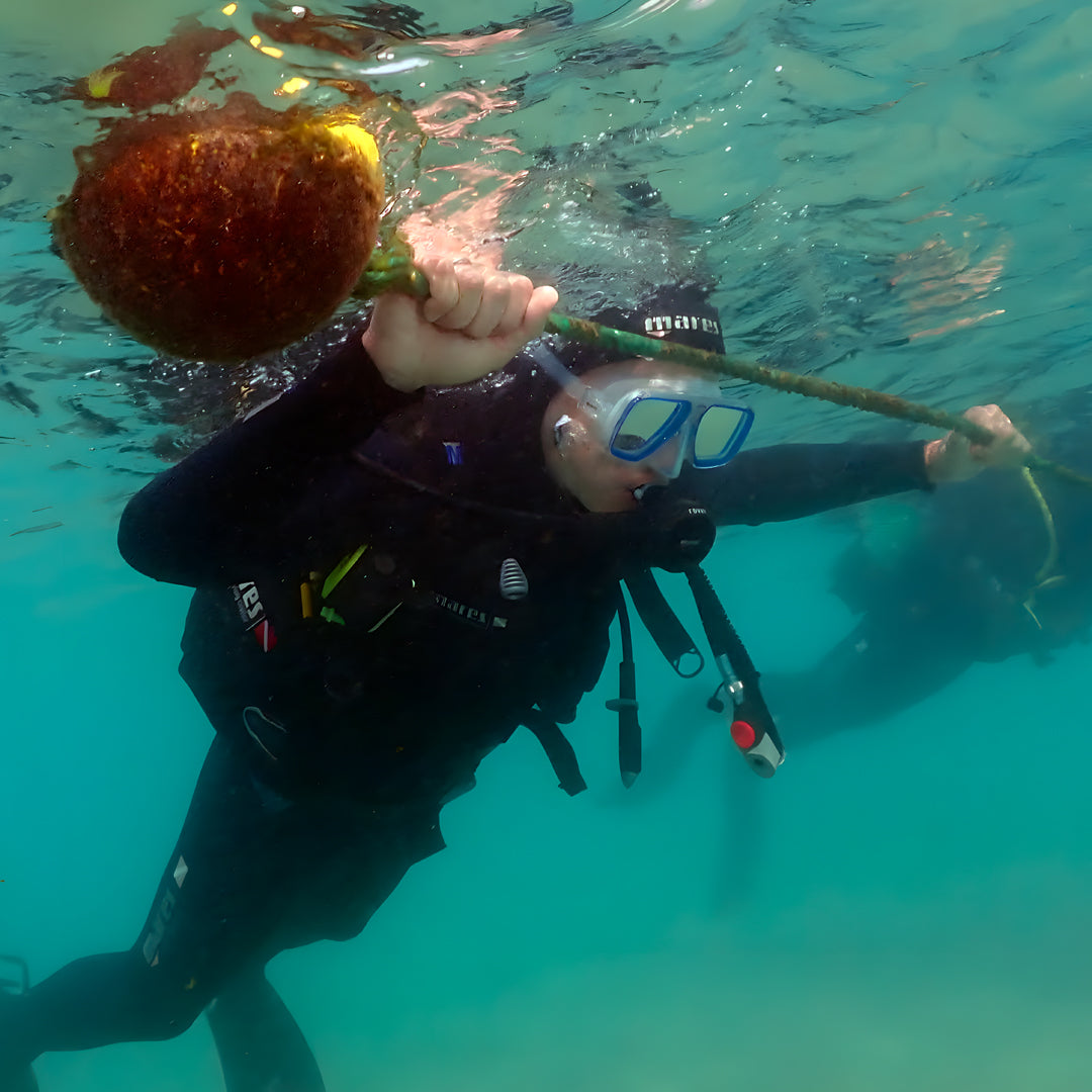 Lanzarote PADI Open Water Diver Course