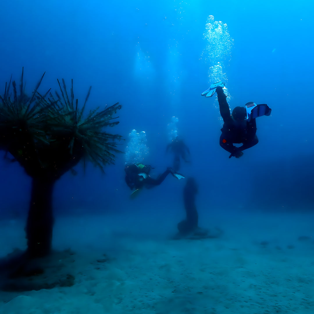 Lanzarote PADI Open Water Diver Course