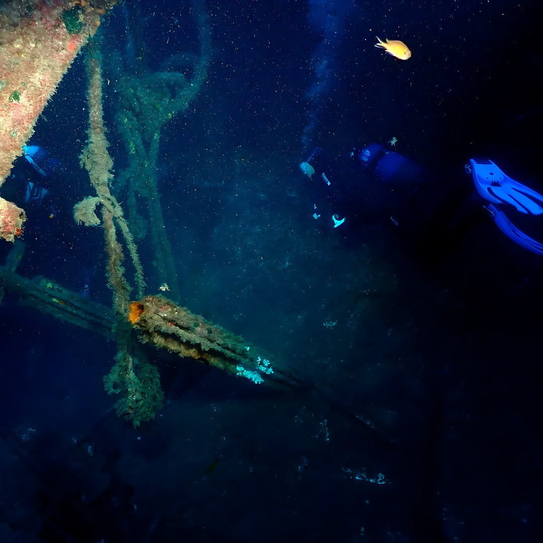 Scuba Diving at Flamingo Beach