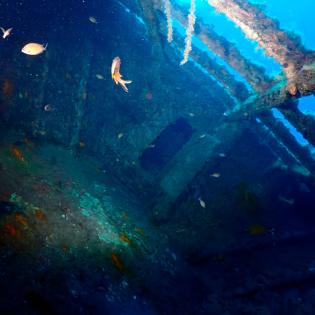 Scuba Diving at Flamingo Beach