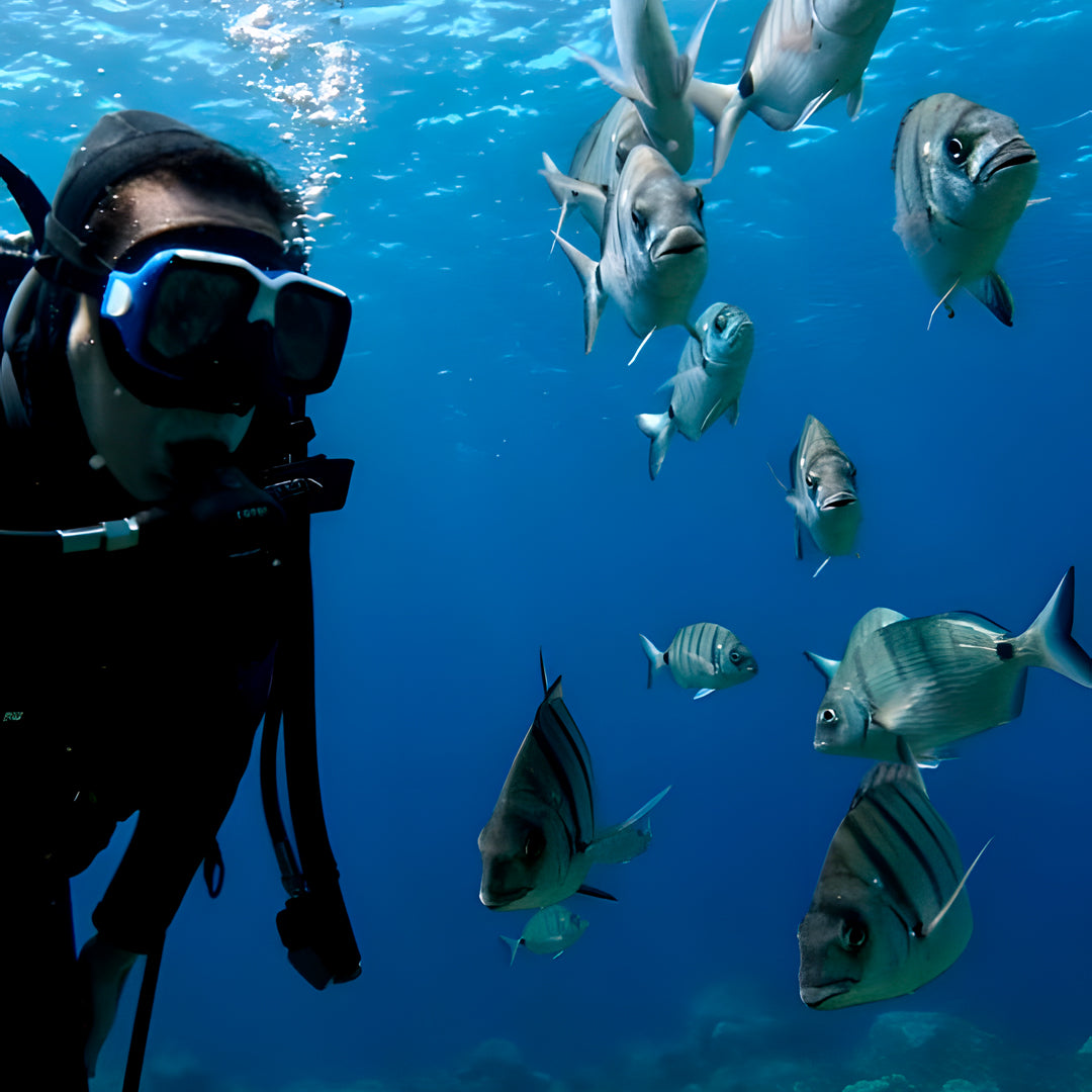 Lanzarote PADI Scuba Diving Course