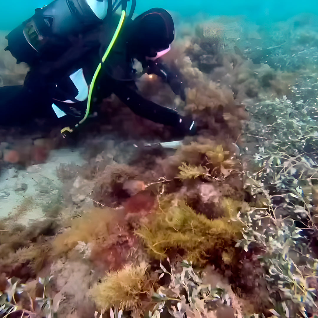 Lanzarote PADI Scuba Diving Course