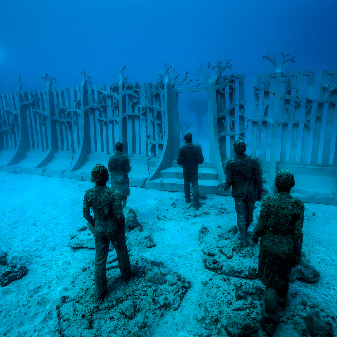Lanzarote PADI Scuba Diving Course