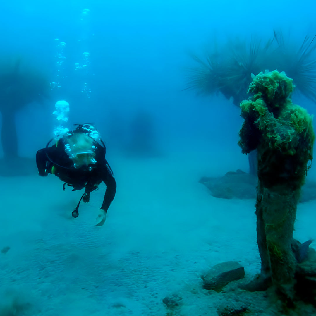 Lanzarote PADI Scuba Diving Course