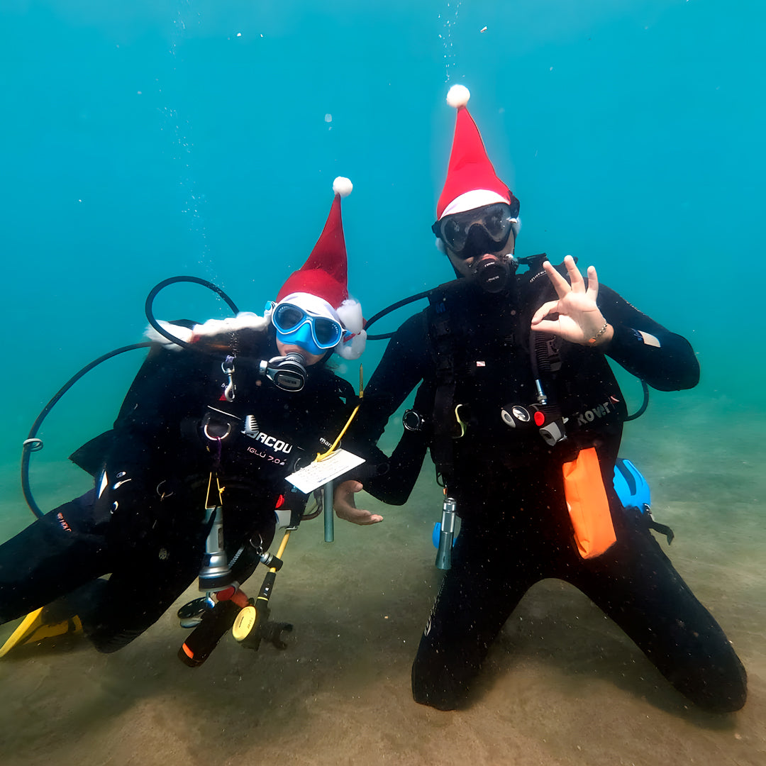Scuba Diving at Flamingo Beach