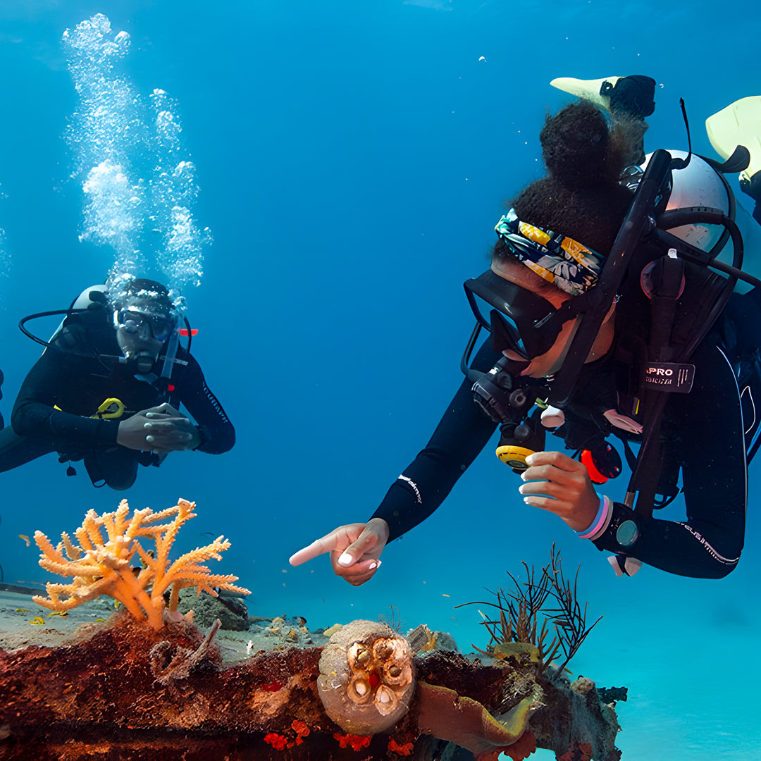 Scuba Diving at Flamingo Beach