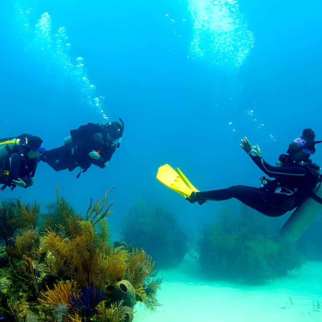 Scuba Diving at Flamingo Beach
