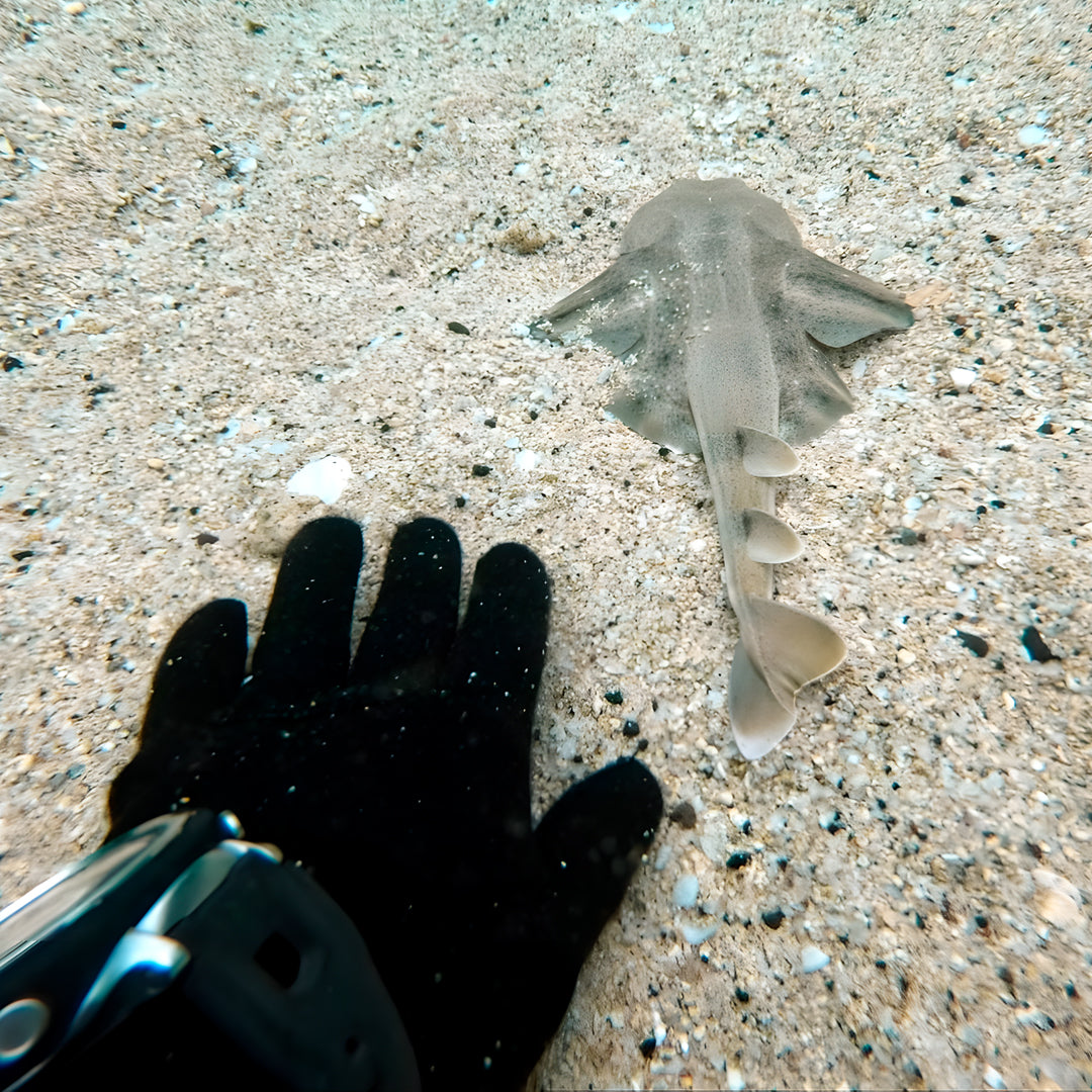 Lanzarote PADI Advanced Open Water Diver