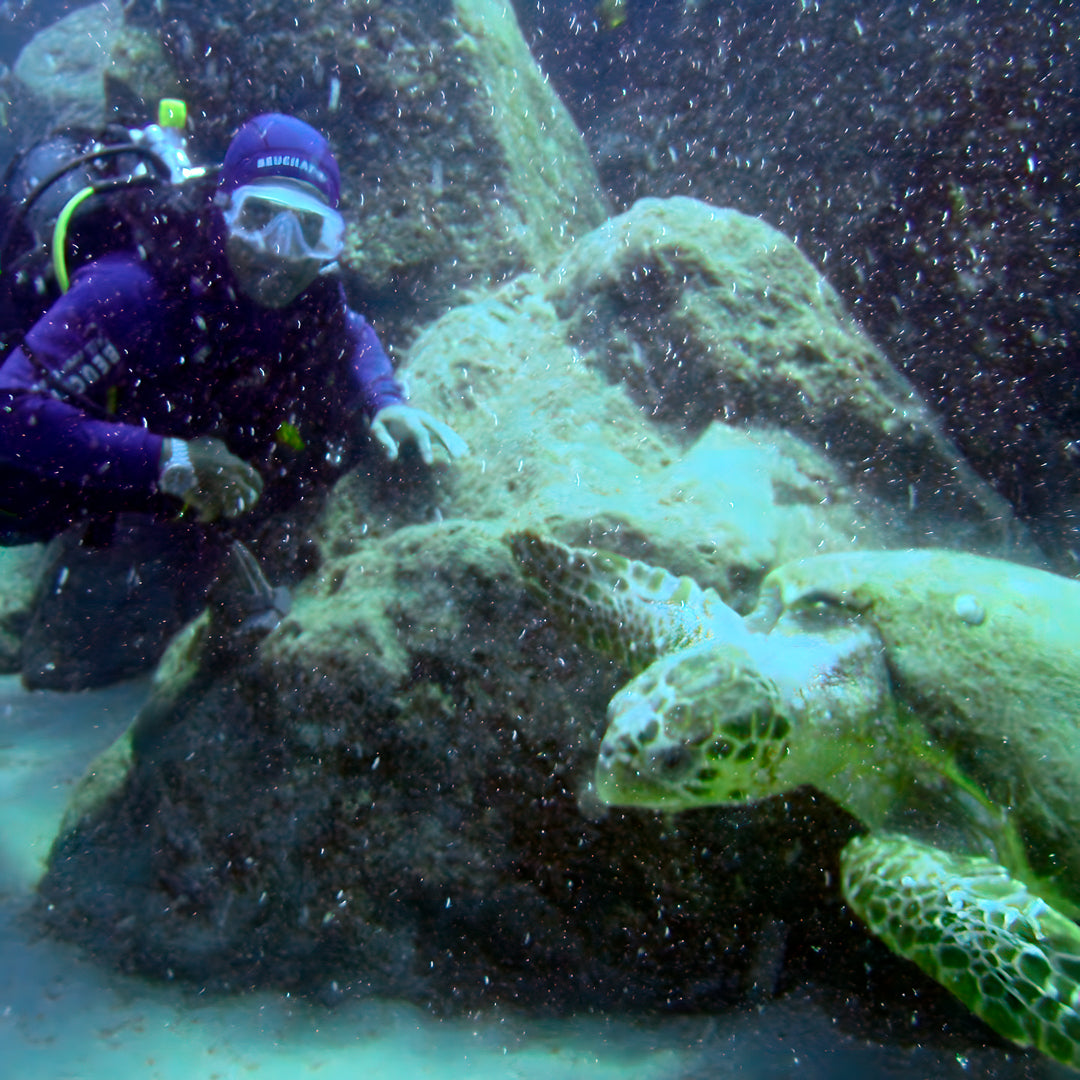 Scuba Diving at Flamingo Beach