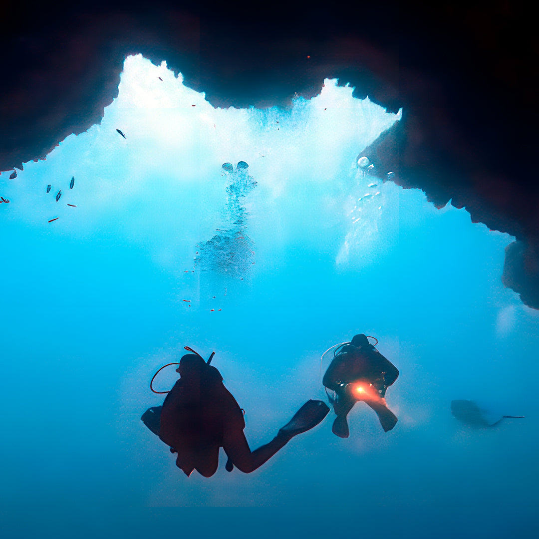Scuba Diving at Flamingo Beach
