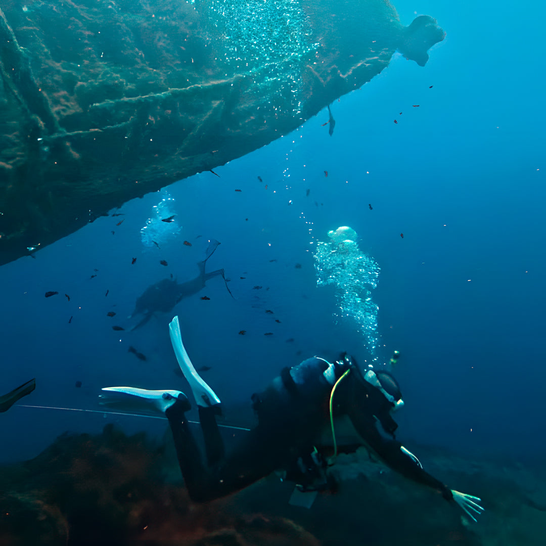Scuba Diving at Flamingo Beach