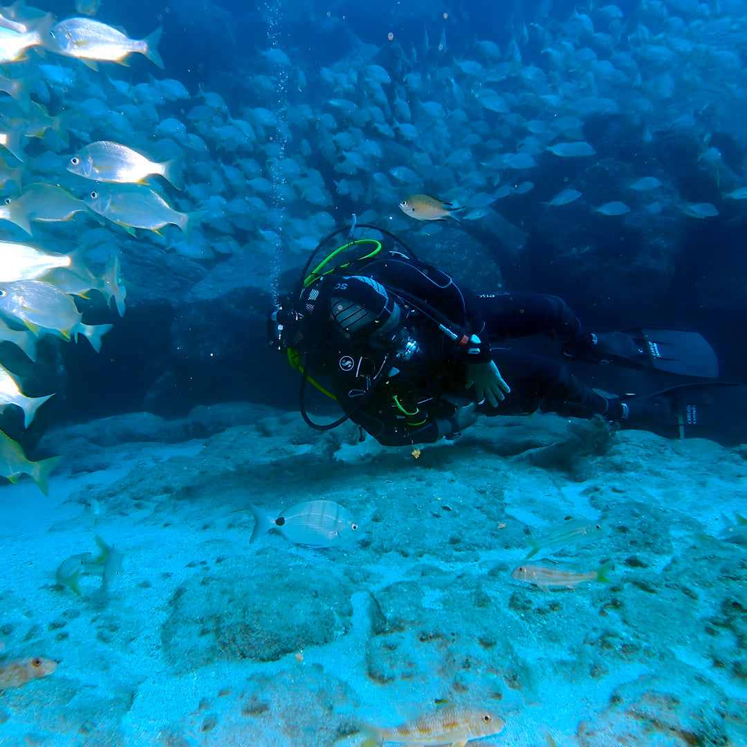 Scuba Diving at Flamingo Beach
