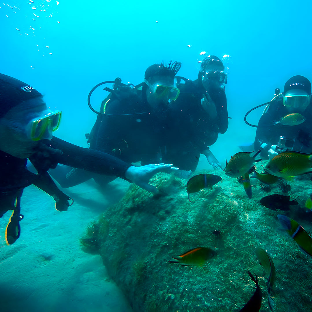 Scuba Diving at Flamingo Beach