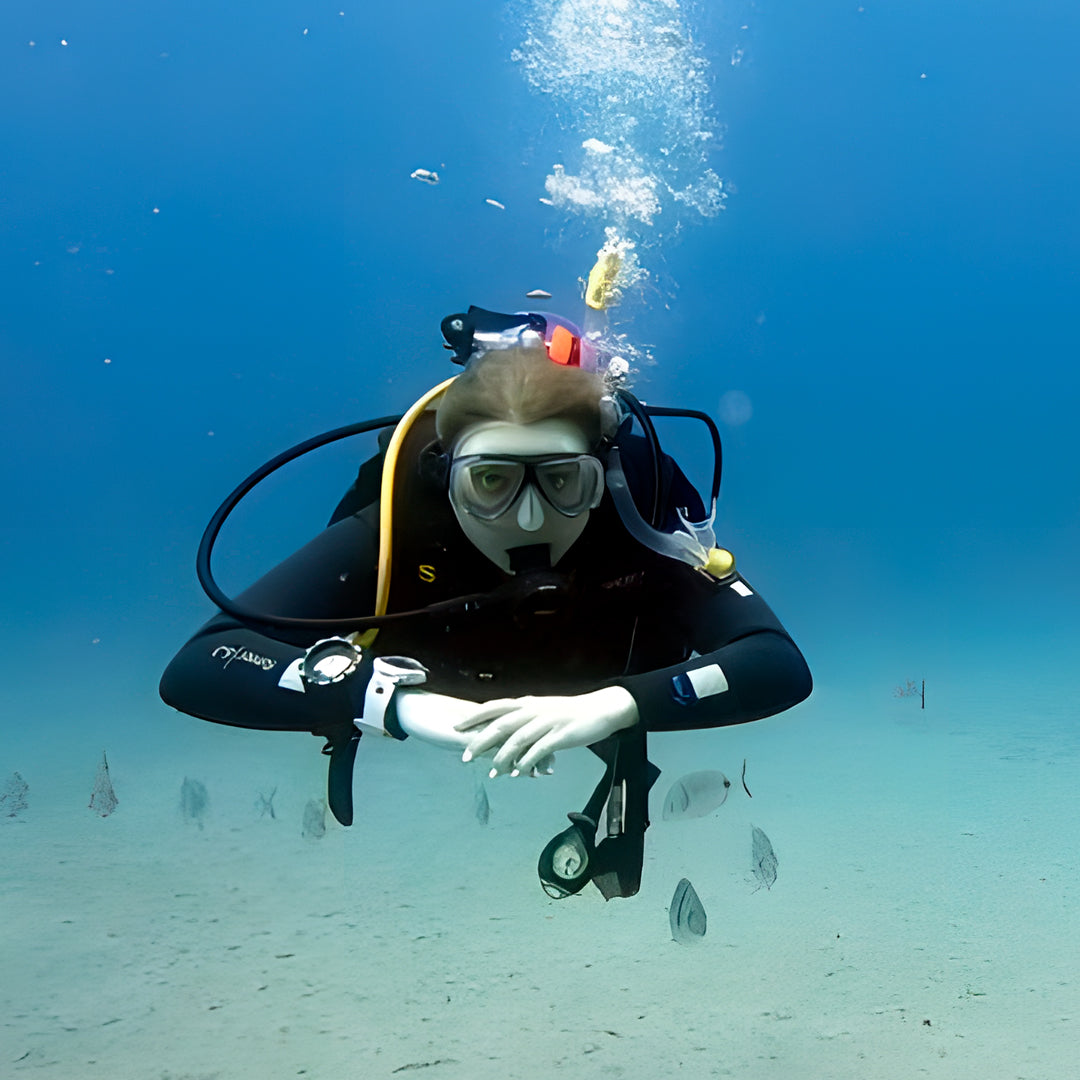 Try Scuba Diving in Flamingo Beach
