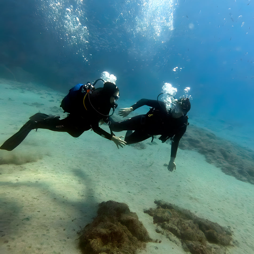 Try Scuba Diving in Flamingo Beach