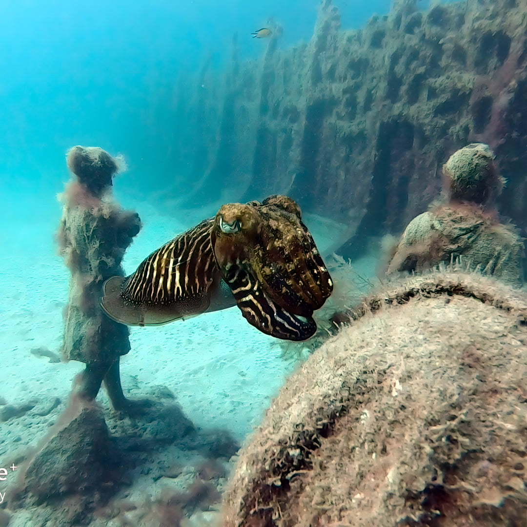 Double Discover Scuba in Flamingo Beach