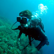 Try Scuba Diving in Flamingo Beach