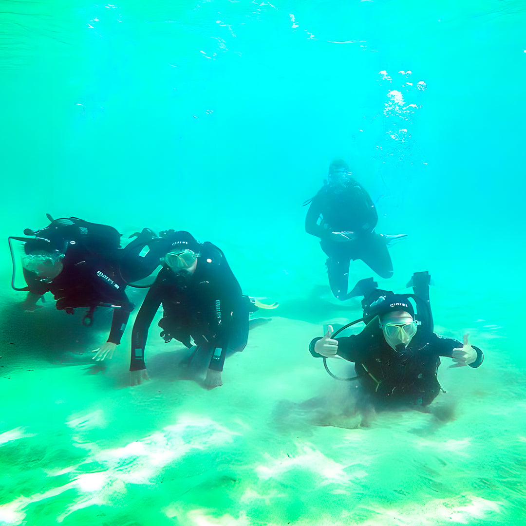Try Scuba Diving in Flamingo Beach