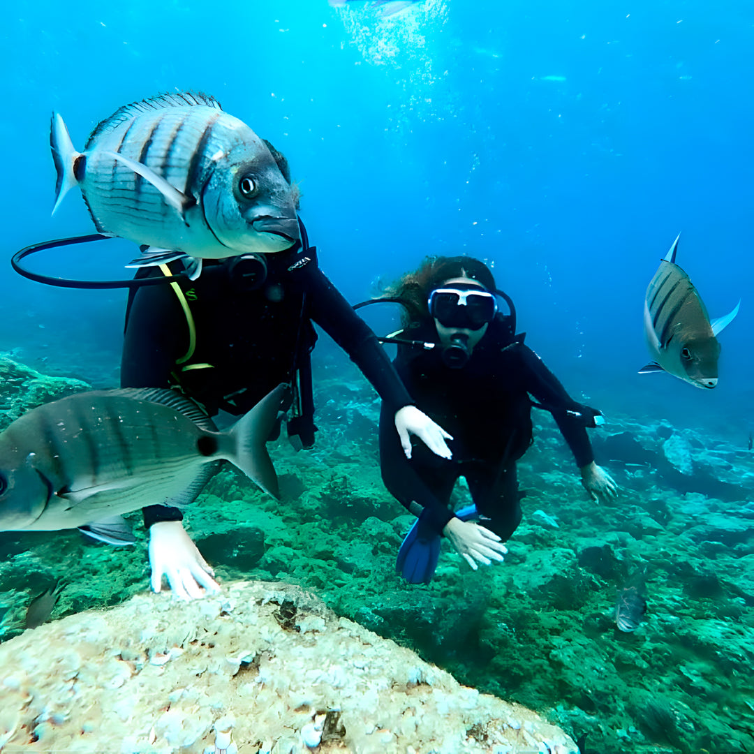 Try Scuba Diving in Flamingo Beach