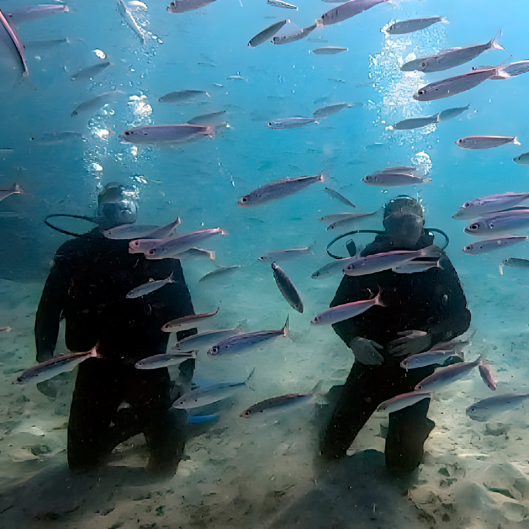 Try Scuba Diving in Flamingo Beach