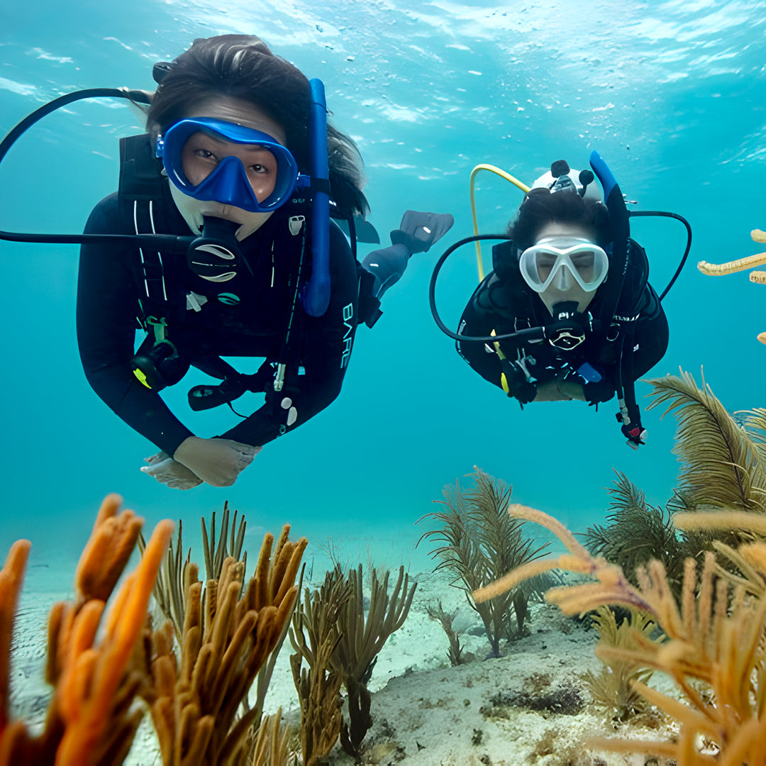 Scuba Diving at Flamingo Beach