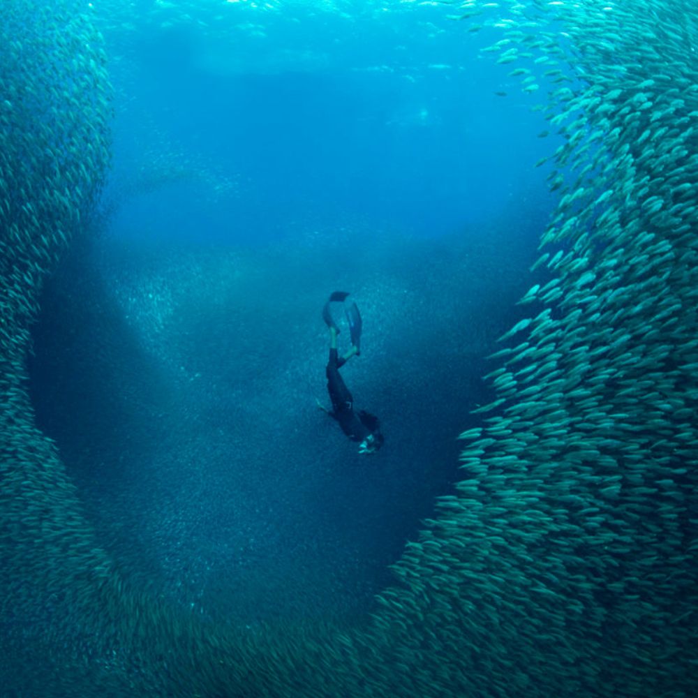 Beginner Freediving in Fiji