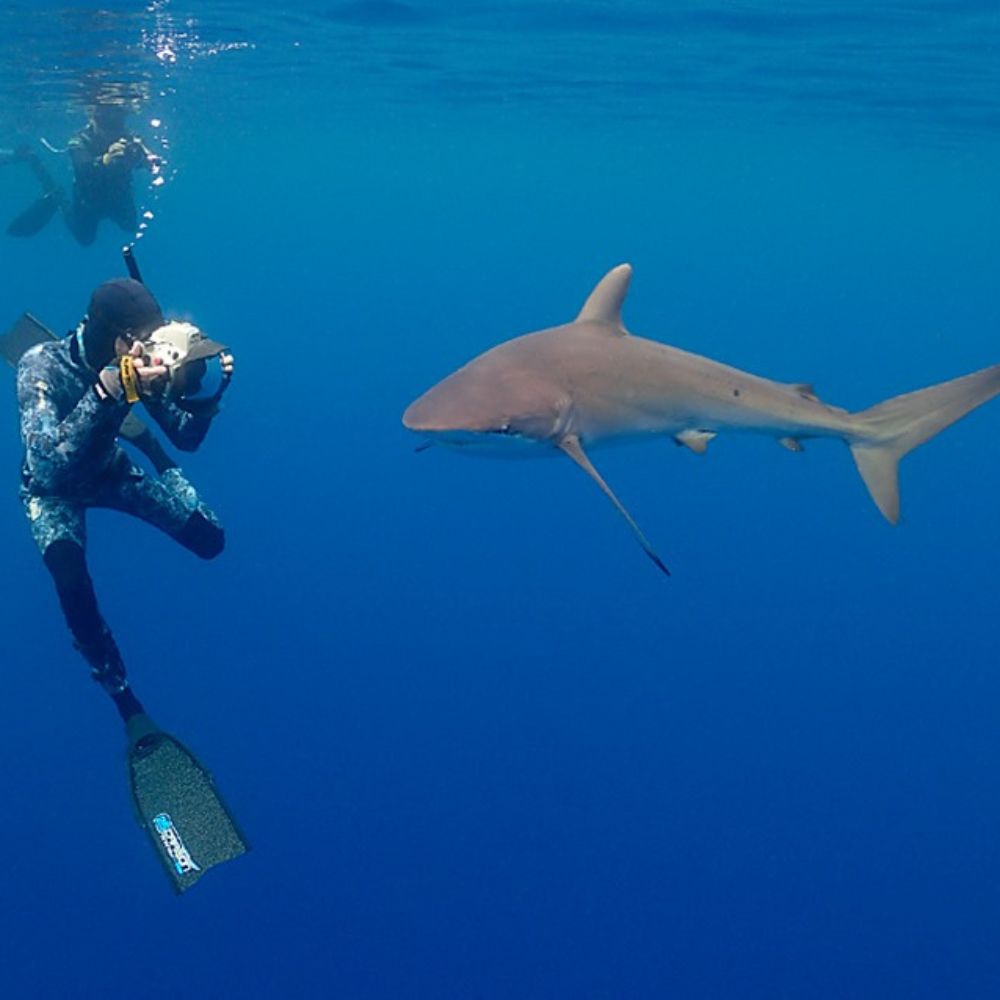 Advanced Freediving Course in Fiji