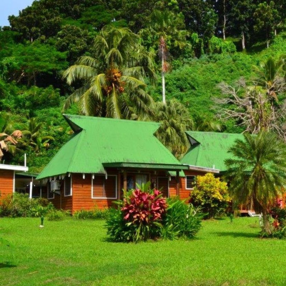 Beginner Freediving in Fiji